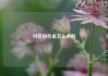 抖音粉丝是怎么来的