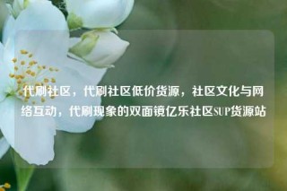 代刷社区，代刷社区低价货源，社区文化与网络互动，代刷现象的双面镜亿乐社区SUP货源站