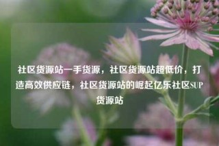 社区货源站一手货源，社区货源站超低价，打造高效供应链，社区货源站的崛起亿乐社区SUP货源站