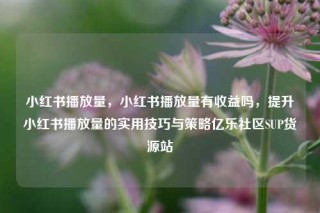 小红书播放量，小红书播放量有收益吗，提升小红书播放量的实用技巧与策略亿乐社区SUP货源站