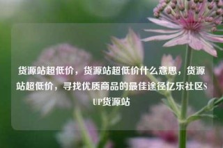 货源站超低价，货源站超低价什么意思，货源站超低价，寻找优质商品的最佳途径亿乐社区SUP货源站