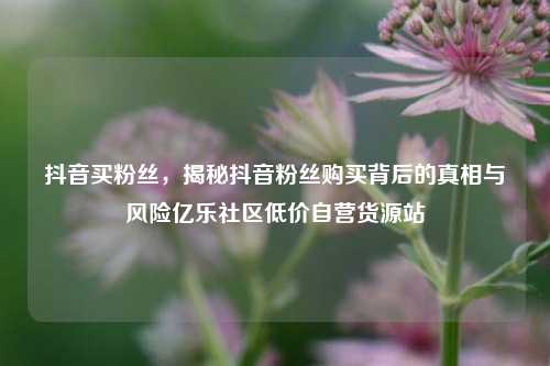 抖音买粉丝	，揭秘抖音粉丝购买背后的真相与风险亿乐社区低价自营货源站  第1张