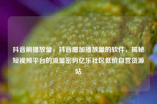 抖音刷播放量，抖音增加播放量的软件	，揭秘短视频平台的流量密码亿乐社区低价自营货源站  第1张
