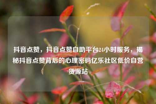 抖音点赞，抖音点赞自助平台24小时服务，揭秘抖音点赞背后的心理密码亿乐社区低价自营货源站  第1张