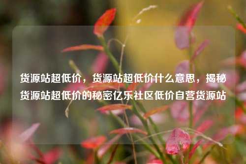 货源站超低价，货源站超低价什么意思	，揭秘货源站超低价的秘密亿乐社区低价自营货源站  第1张
