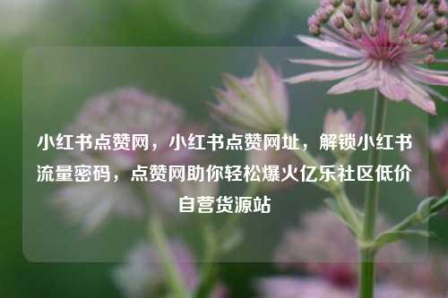 小红书点赞网，小红书点赞网址	，解锁小红书流量密码，点赞网助你轻松爆火亿乐社区低价自营货源站  第1张