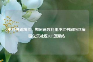 小红书刷粉丝，如何高效利用小红书刷粉丝策略亿乐社区SUP货源站