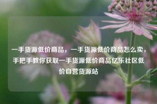一手货源低价商品，一手货源低价商品怎么卖，手把手教你获取一手货源低价商品亿乐社区低价自营货源站