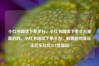 小红书阅读下单平台，小红书阅读下单平台是真的吗，小红书阅读下单平台，解锁购物新玩法亿乐社区SUP货源站