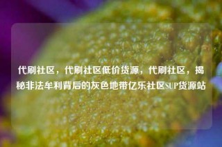 代刷社区，代刷社区低价货源，代刷社区，揭秘非法牟利背后的灰色地带亿乐社区SUP货源站