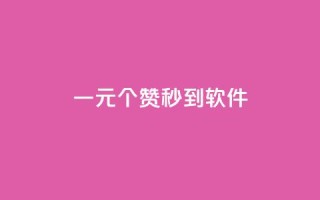 ks一元1000个赞秒到软件,网红助手免费粉丝 - 快手买站一块钱100 - b站播放量自助平台