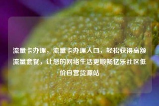 流量卡办理，流量卡办理入口，轻松获得高额流量套餐，让您的网络生活更顺畅亿乐社区低价自营货源站