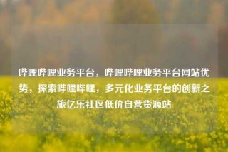 哔哩哔哩业务平台，哔哩哔哩业务平台网站优势，探索哔哩哔哩，多元化业务平台的创新之旅亿乐社区低价自营货源站