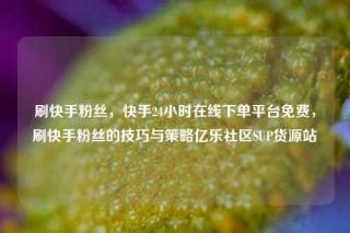 刷快手粉丝，快手24小时在线下单平台免费，刷快手粉丝的技巧与策略亿乐社区SUP货源站