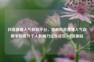 抖音直播人气自助平台，借助抖音直播人气自助平台提升个人影响力亿乐社区SUP货源站
