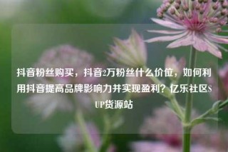 抖音粉丝购买，抖音2万粉丝什么价位，如何利用抖音提高品牌影响力并实现盈利？亿乐社区SUP货源站