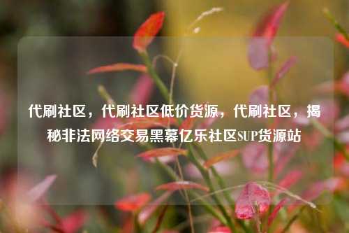 代刷社区，代刷社区低价货源，代刷社区	，揭秘非法网络交易黑幕亿乐社区SUP货源站  第1张