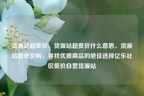 货源站超低价，货源站超低价什么意思	，货源站超低价购，寻找优质商品的绝佳选择亿乐社区低价自营货源站  第1张