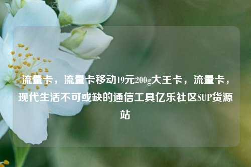 流量卡	，流量卡移动19元200g大王卡，流量卡，现代生活不可或缺的通信工具亿乐社区SUP货源站  第1张