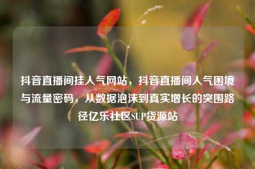 抖音直播间挂人气网站，抖音直播间人气困境与流量密码，从数据泡沫到真实增长的突围路径亿乐社区SUP货源站  第1张