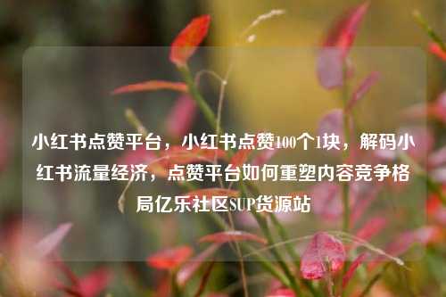 小红书点赞平台	，小红书点赞100个1块，解码小红书流量经济，点赞平台如何重塑内容竞争格局亿乐社区SUP货源站  第1张