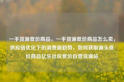 一手货源低价商品	，一手货源低价商品怎么卖，供应链优化下的消费新趋势，如何获取源头低价商品亿乐社区低价自营货源站  第1张